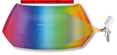Spiegelgehäuse spiegel - spiegelgehäuse,